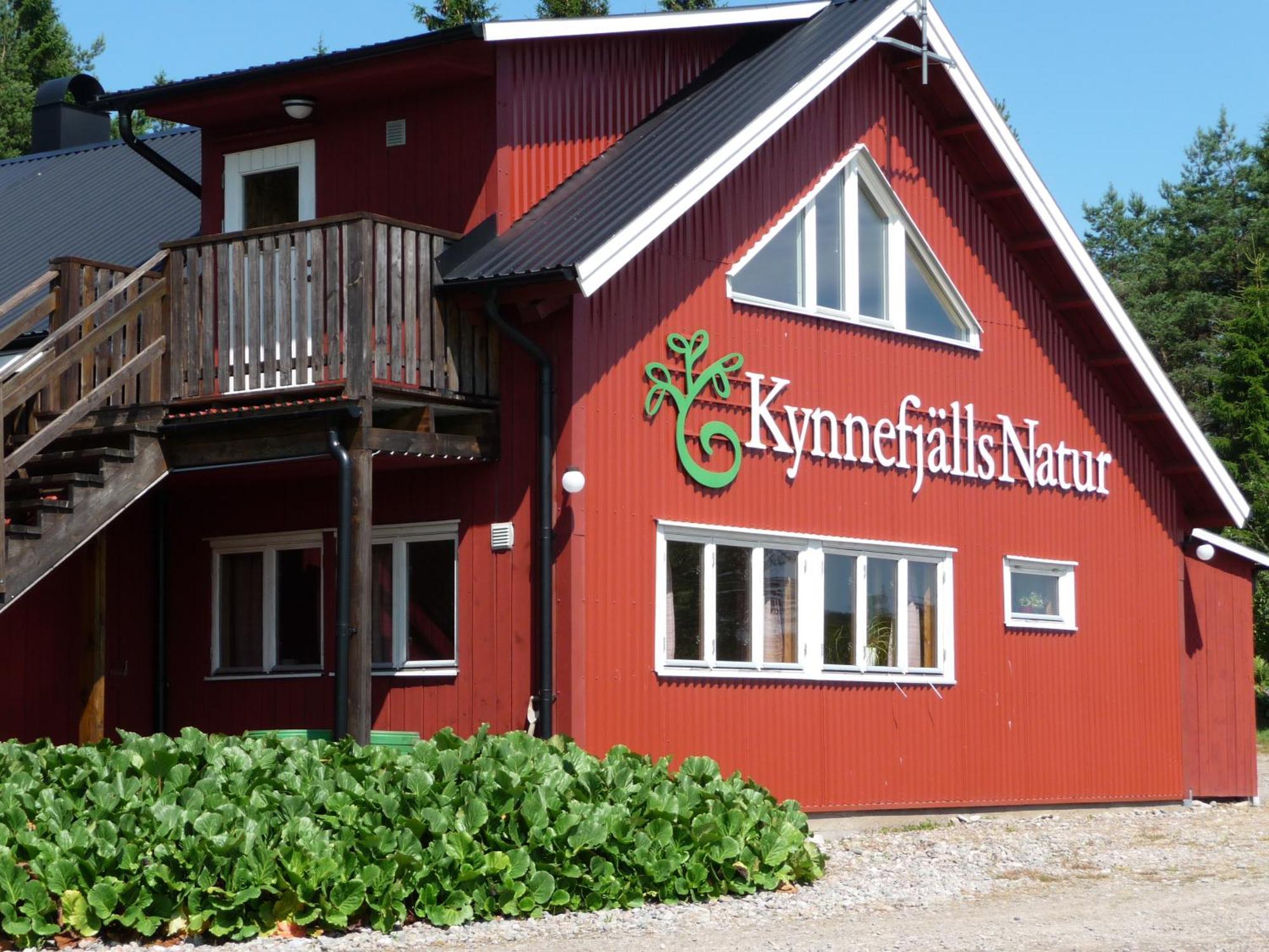 Kynnefjaellsnatur Hedekas Exterior photo
