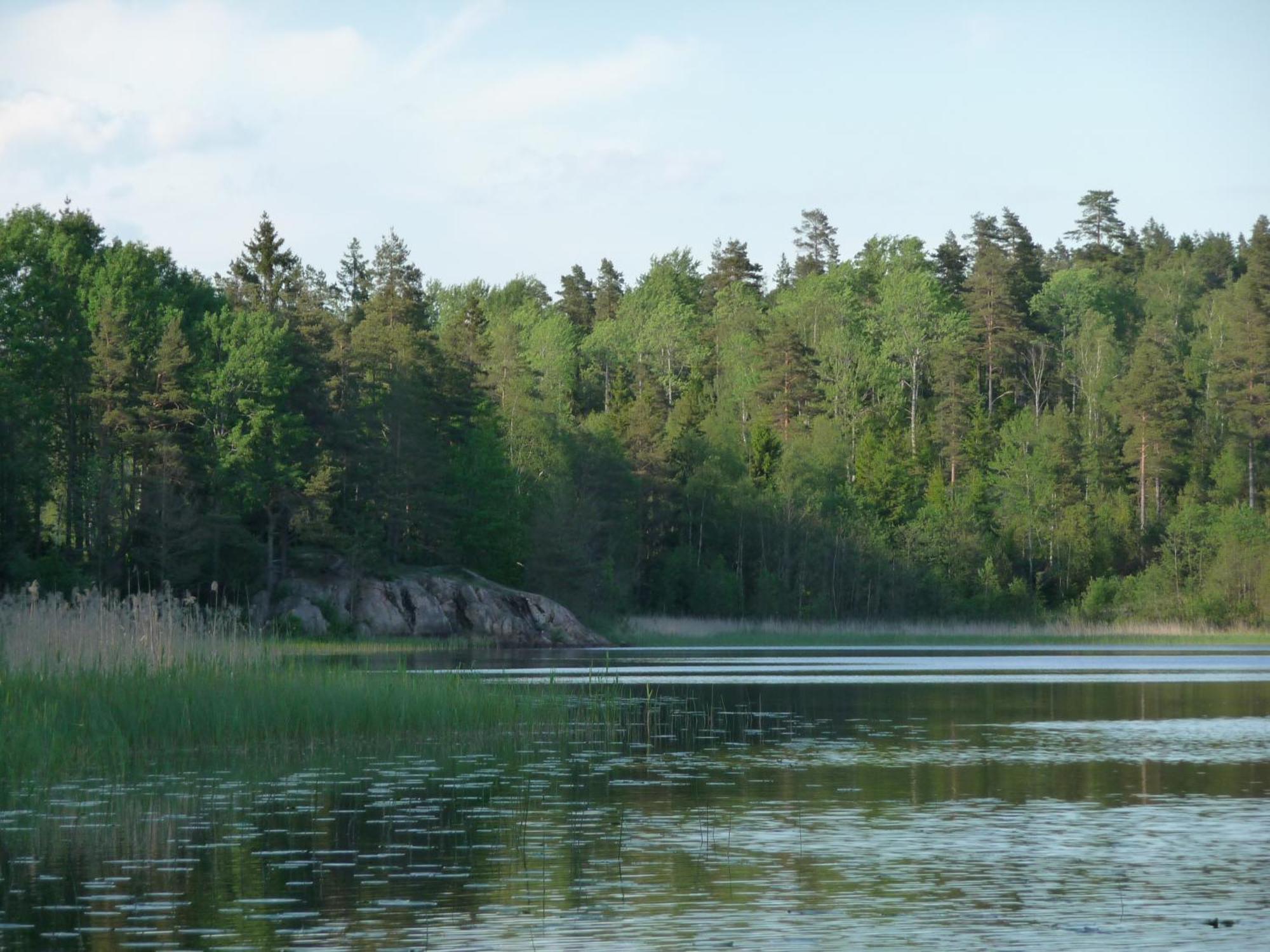 Kynnefjaellsnatur Hedekas Exterior photo