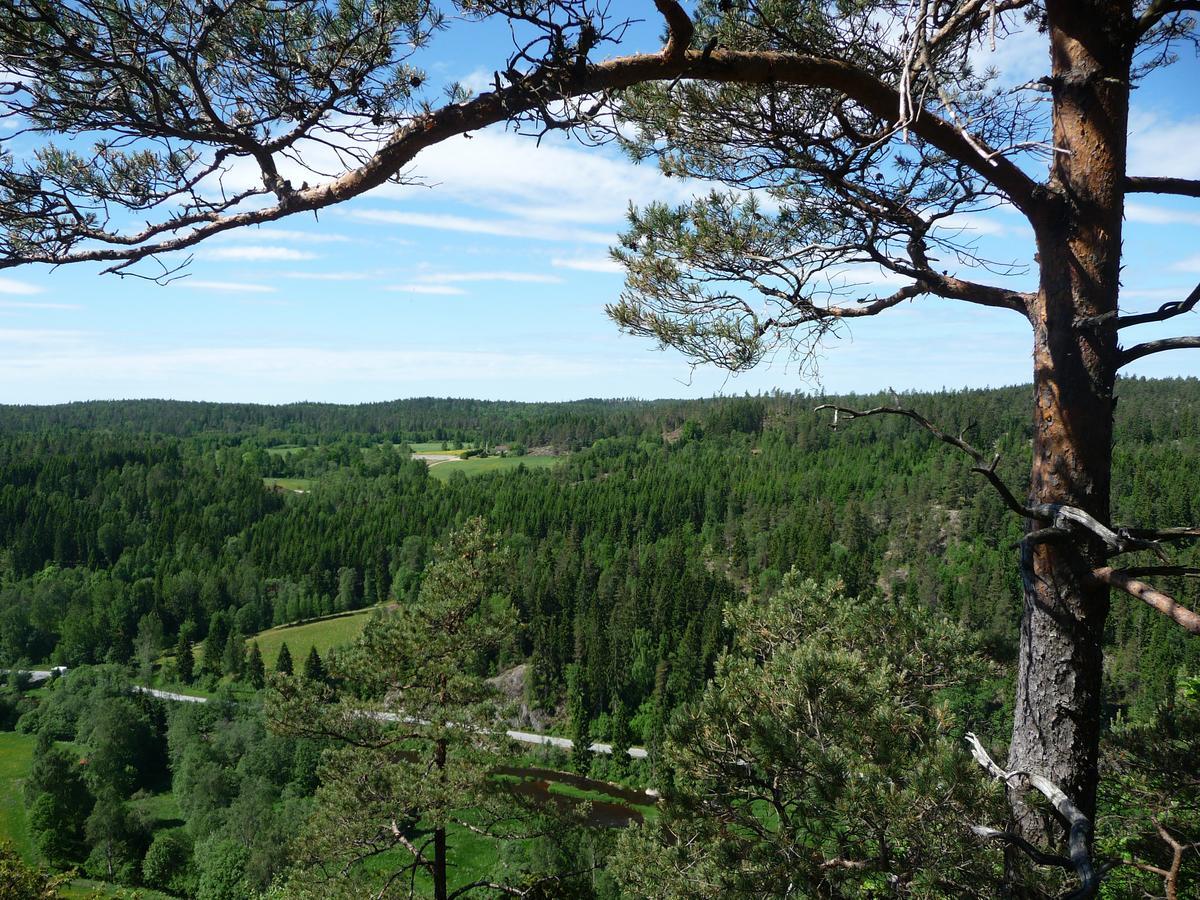 Kynnefjaellsnatur Hedekas Exterior photo